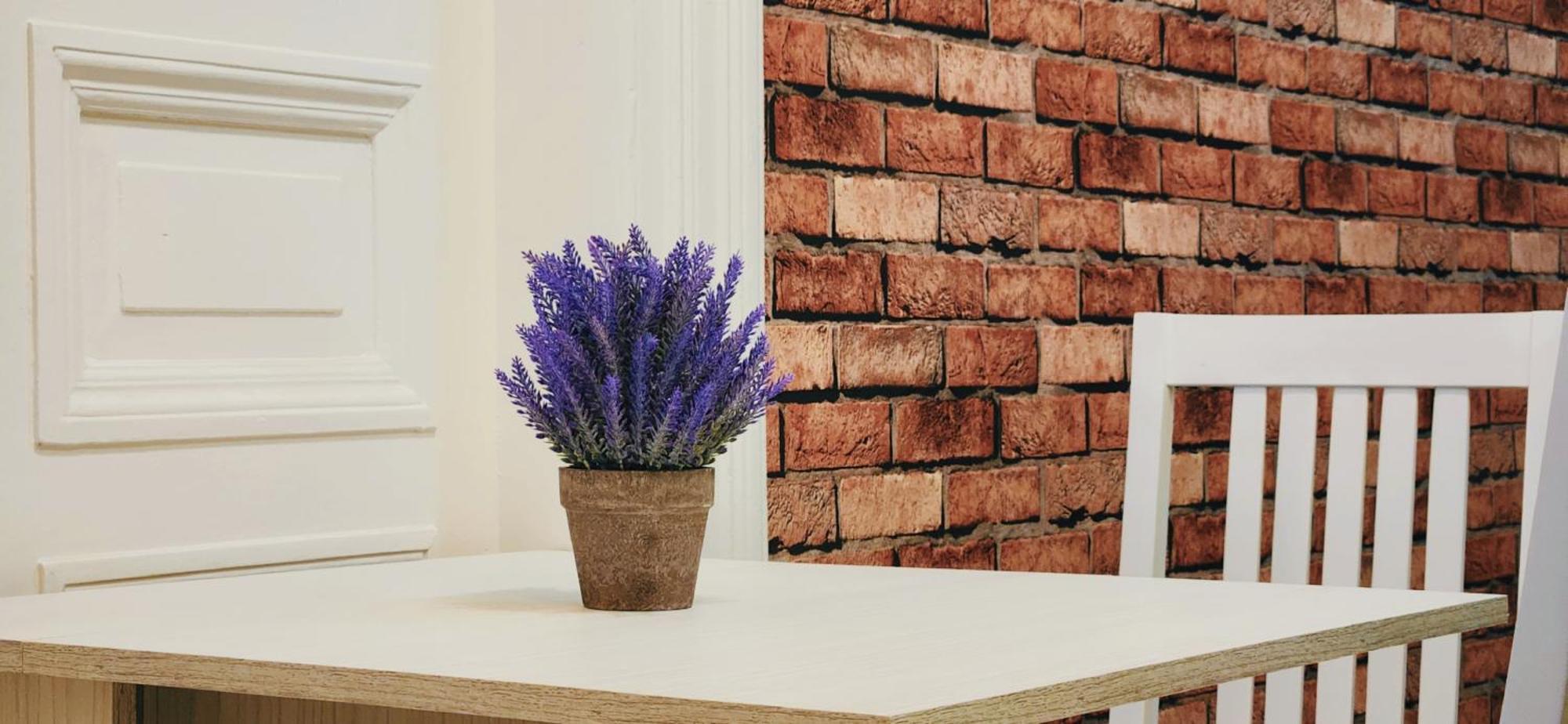 Friends - Your Cosy Apartment In The Center Tbilisi Ngoại thất bức ảnh